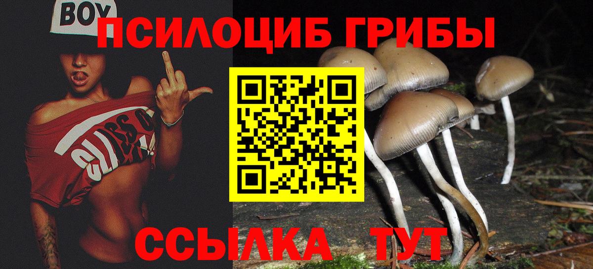Псилоцибиновые грибы GOLDEN TEACHER Кольчугино