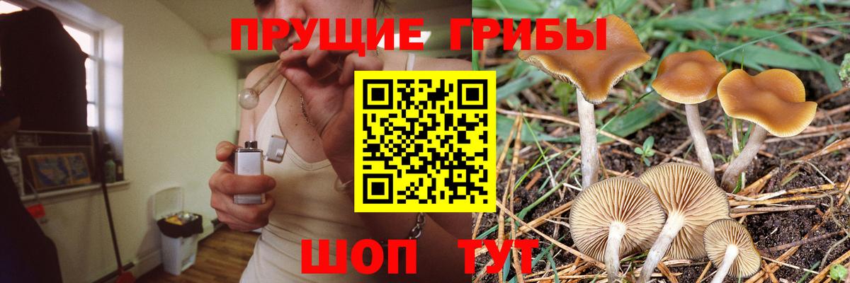 Псилоцибиновые грибы мухоморы  Псилоцибиновые грибы Psilocybine cubensis  Кольчугино  Вход с VPN 